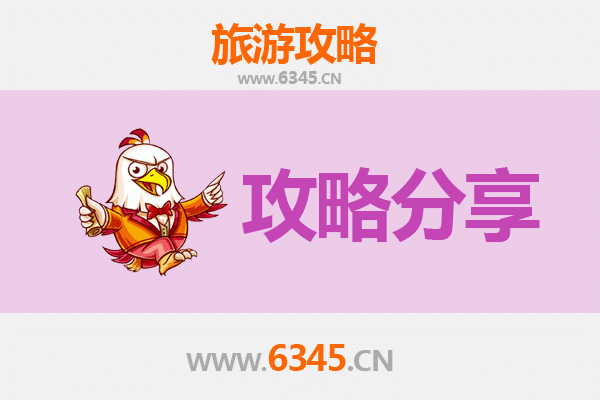 湘潭韶山至湄洲岛旅游攻略：跟团 vs 自由行深度解析